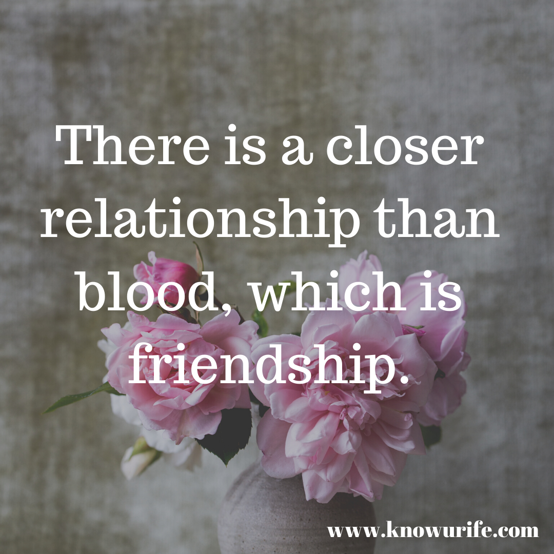 Unlimited True Friendship Quotes Images Status More Knowurlife