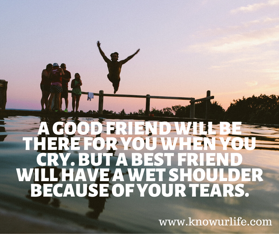 happy friendship day quotes