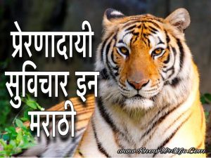 thoughts marathi